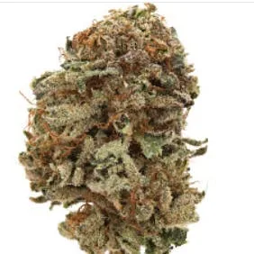 HerCanna; Golden Oasis (H/I) 3.5g - Indoor Premium (High THC)