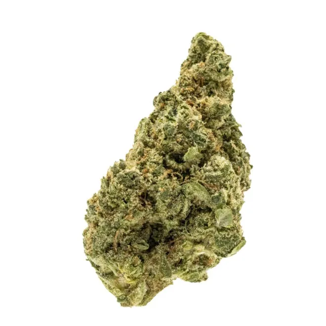 Jack Herer 7G Flower