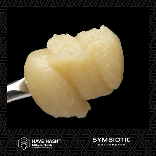 HAVE HASH | Z | COLD CURE LIVE ROSIN - 1 g