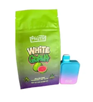 White Guava [I] | 1g AIO | Hush