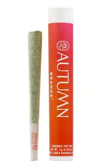Autumn Brands - Funky Flower Child (h) - Pre-roll