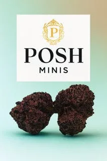 Posh Green - Strawberry purple petro 3.5g (indoor minis)