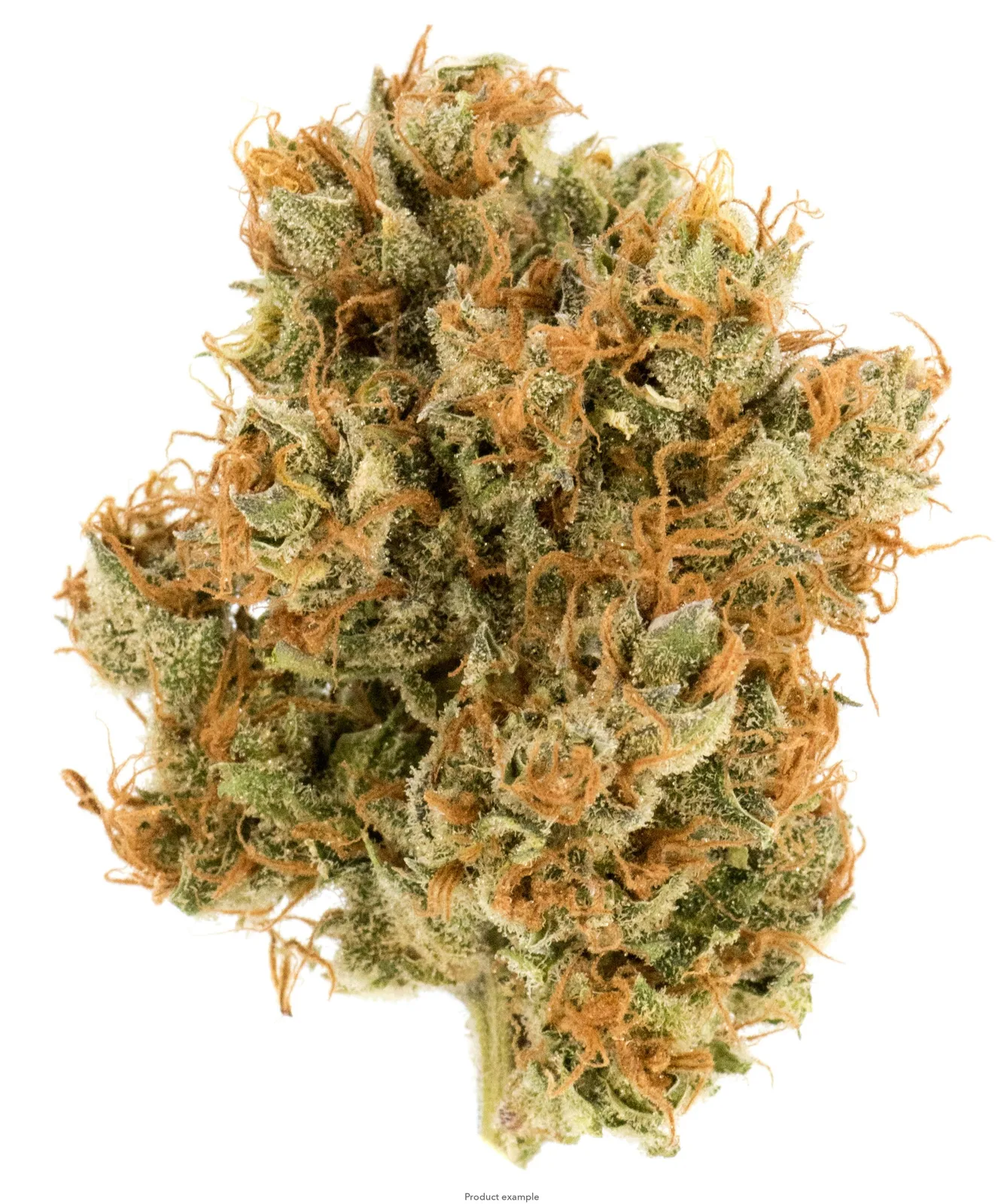 OUNCE SPECIAL- NIGHTCAP