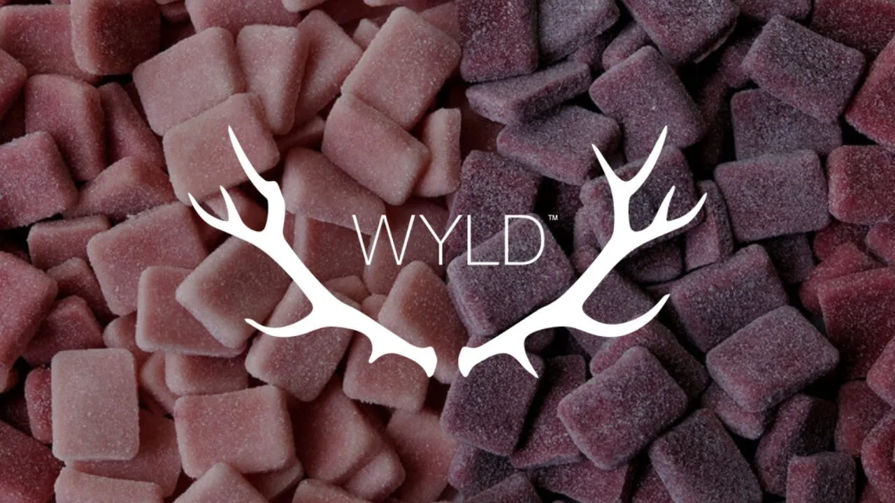 Wyld Gummies - Kiwi (S)