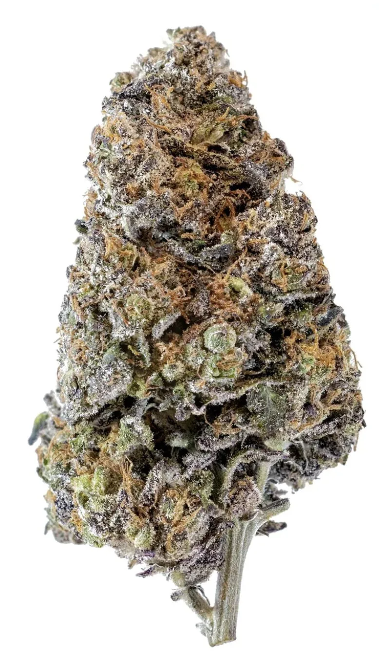 Purple Power - Sativa - 35.95% THC