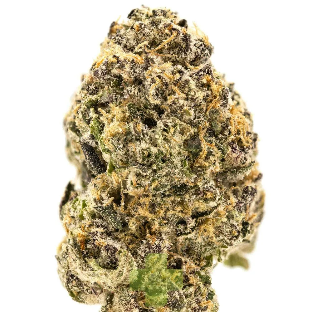 Sherbinskis - Perm - Eighth