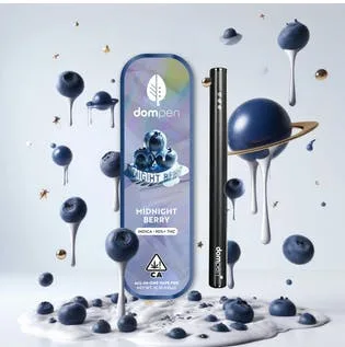 MIDNIGHT BERRY - AIO - 1g - DOMPEN