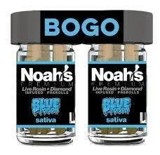 SATIVA / NOAH'S / BLUE POISON / 7G / 40 % THC