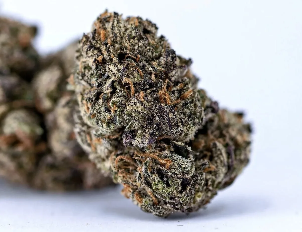 XOXO - Hybrid - 31% THC