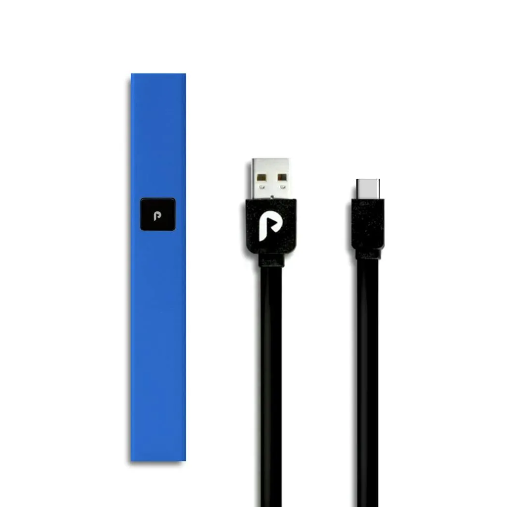 PlugPlay Battery Blue