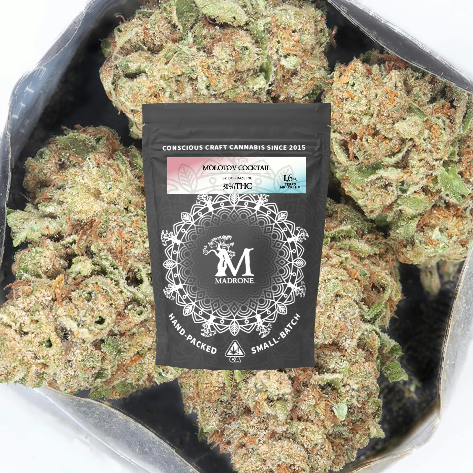 Molotov Cocktail