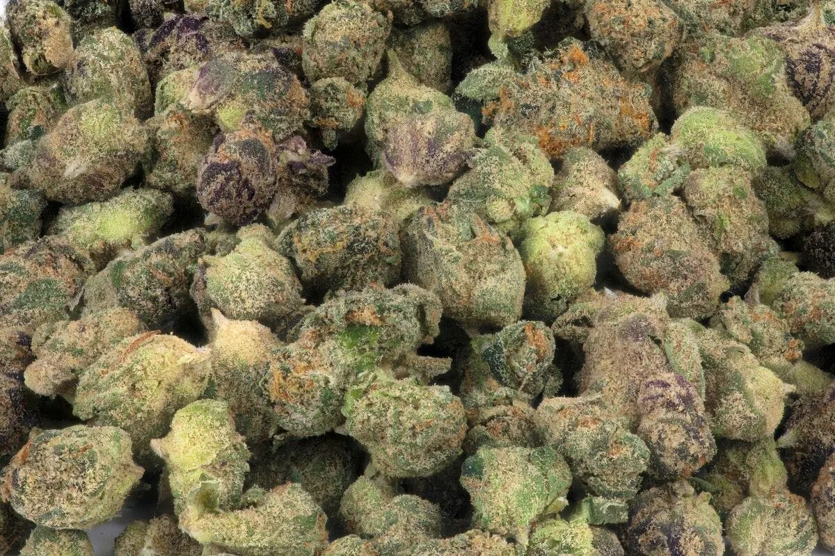 Micro Greenz | Sherb BX1 x Gelato 41 | Premium Flower | Smalls