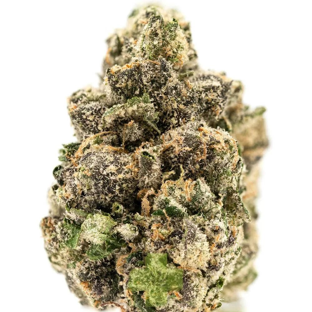 Seed Junky - Permanent Fumes - Eighth