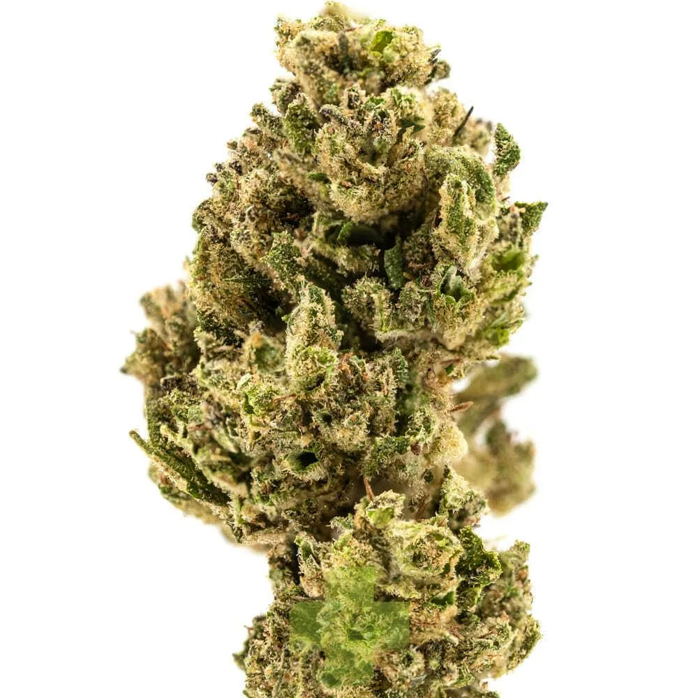 The Pairist - 11:1 CBD Pineapple Kush, SG - Eighth