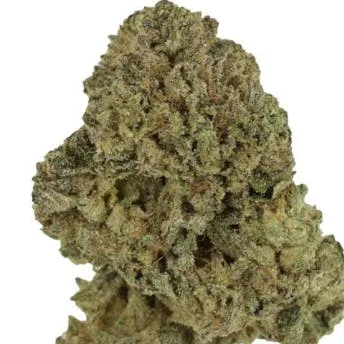 HerCanna; King Louie (I) 14.5g - Premium (High THC)