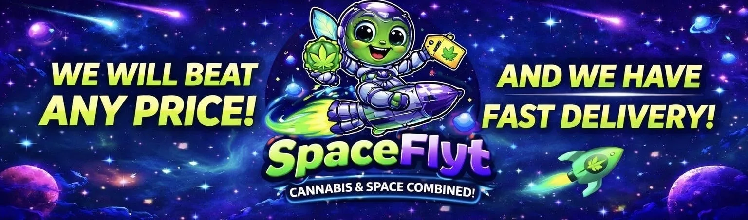 Space Flyt - Antelope Valley