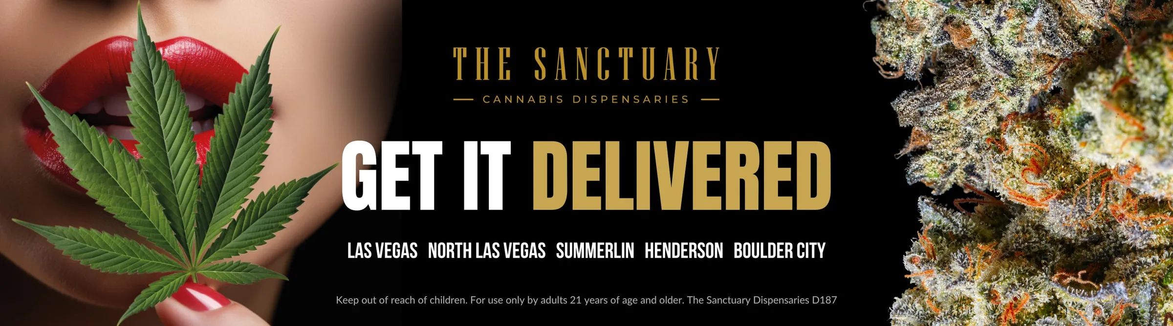 The Sanctuary Delivery