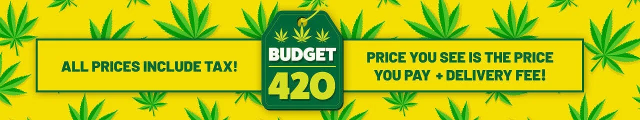 Budget 420 listing image