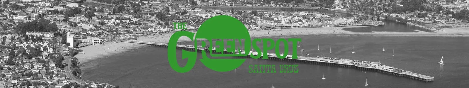 The Green Spot - Santa Cruz listing image