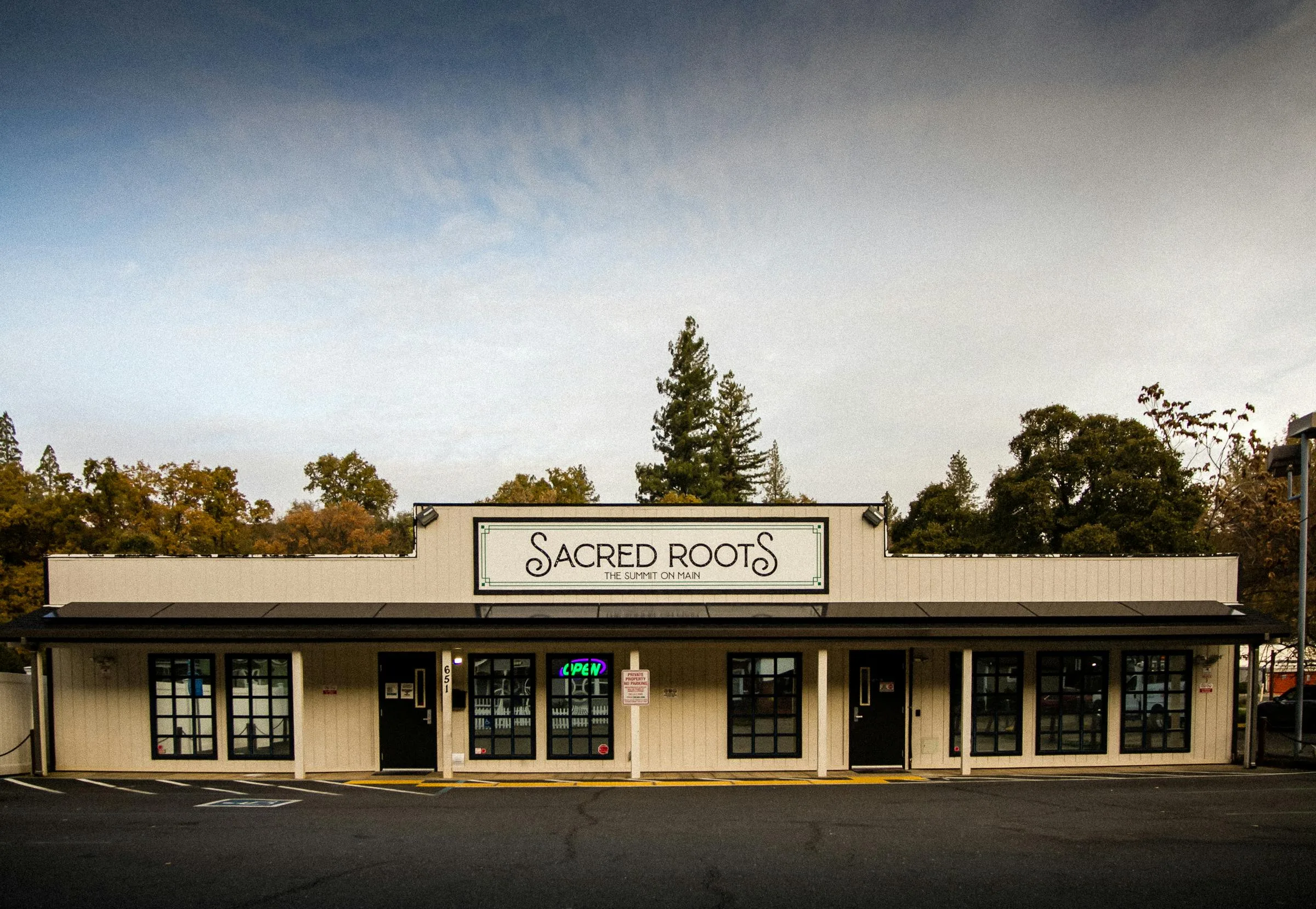 Sacred Roots - Taxes Included in Prices! listing image