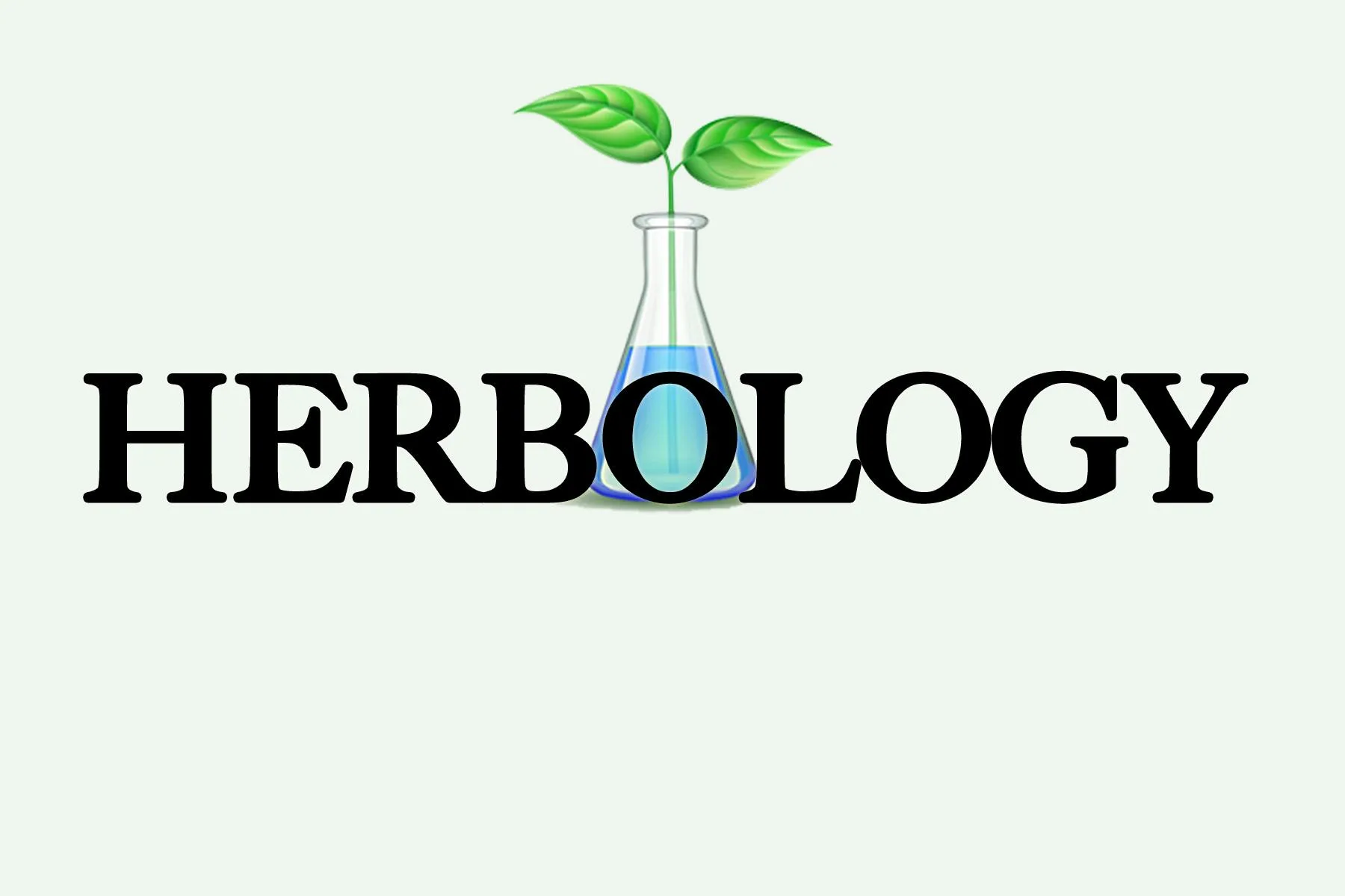 Herbology - Carpenter