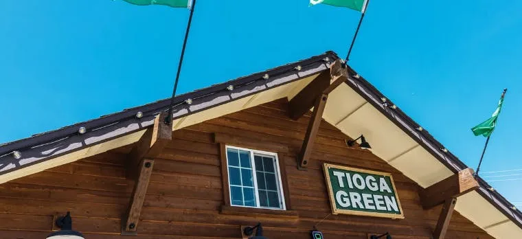 Tioga Green listing image