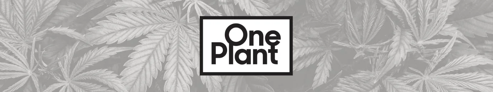 One Plant Santa Cruz listing image