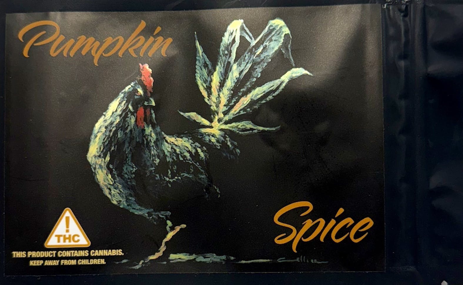 Edibles – Chocolates – Pumpkin Spice – 100mg – 10pk