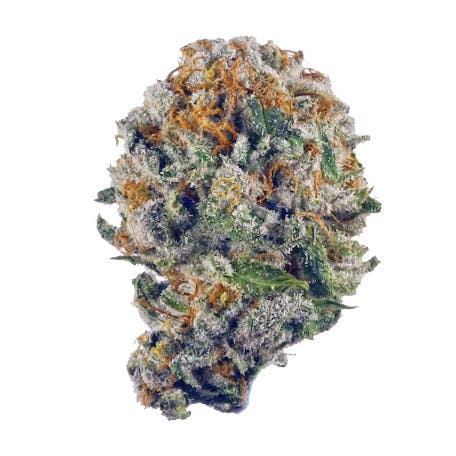 Evidence™️ 8th - Strawberry Shortcake