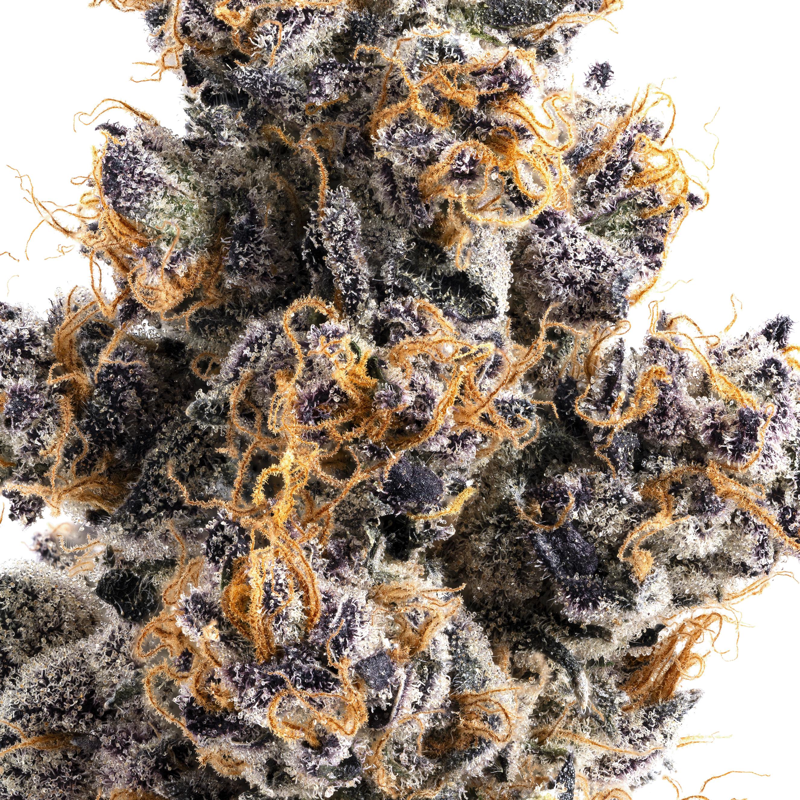 Lumpy's Flowers | Jane Dough | 14g Mylar Bag