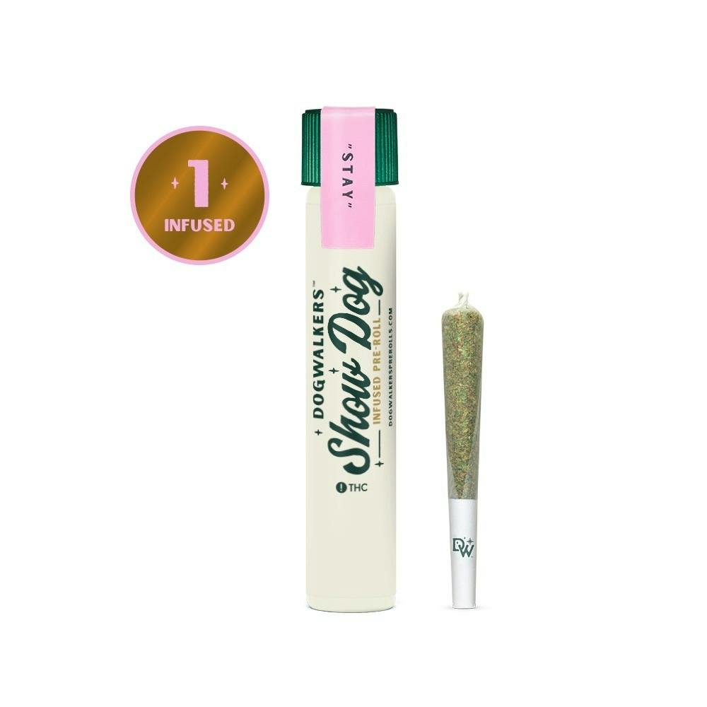 Dogwalkers Outta My Head Big Show Dog Infused Pre Rolls 1g