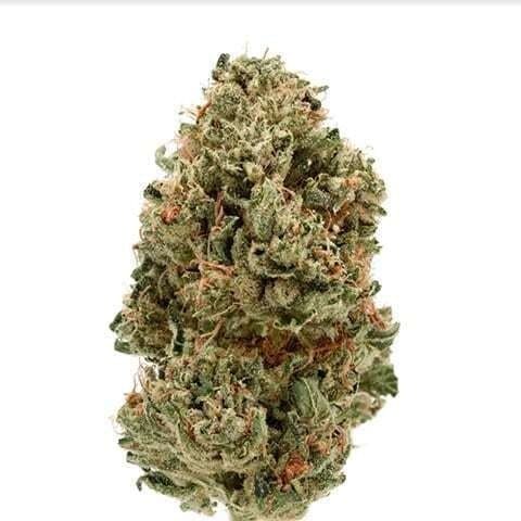 Mojo | Clone Guy OG | Big Buds | 14g