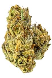 STIIIZY | Sherbbles 7g