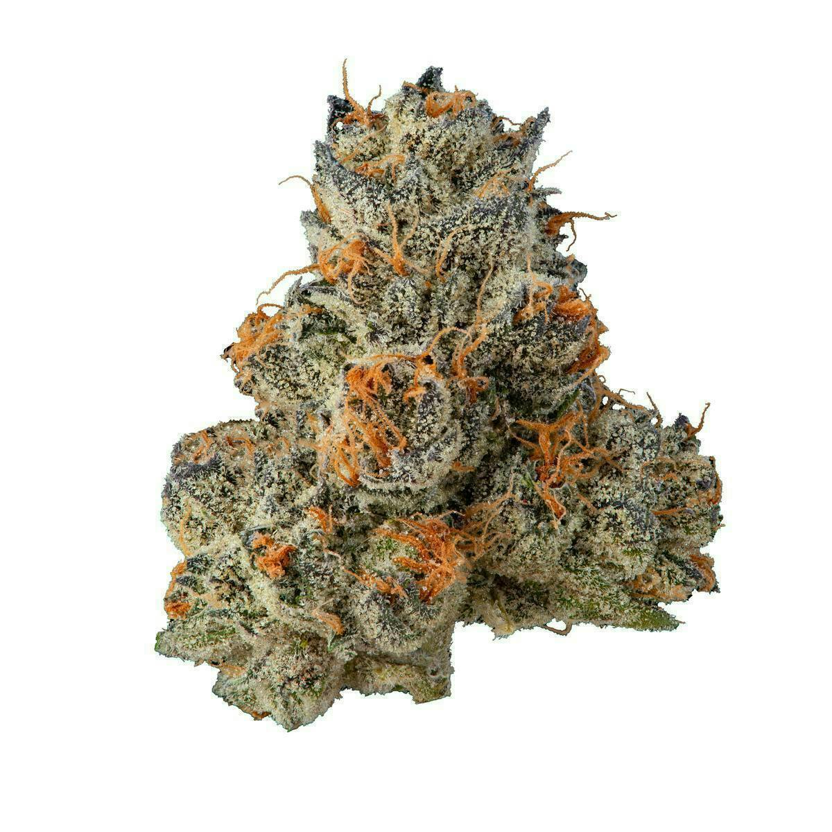 Fig Farms | Krypto Chronic #1 | Big Buds
