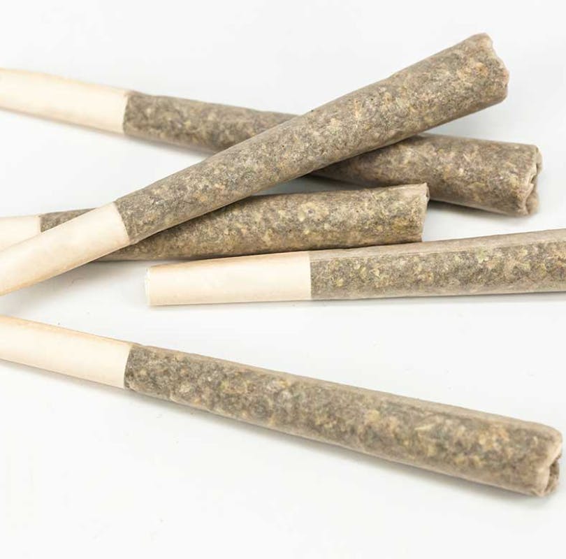 STIIIZY Sunset Sherbert Pre-Roll Pack 0.5g ea | 5-Pack