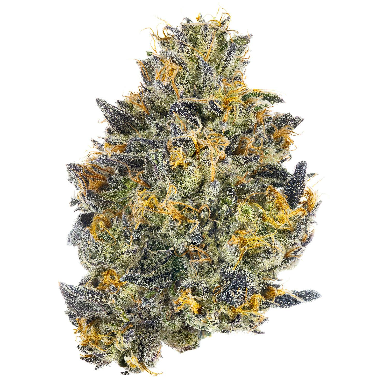 Red Bubblegum