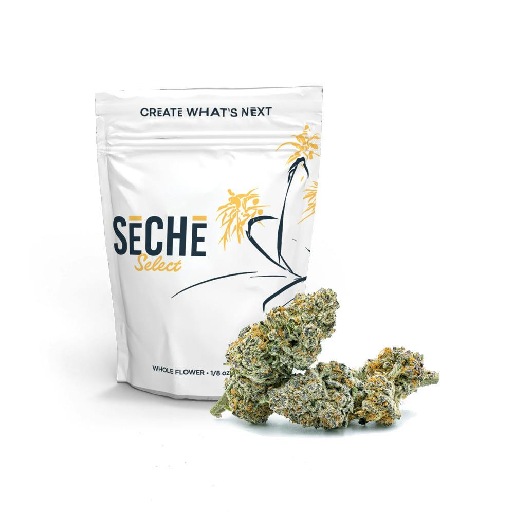 SeCHe Select | Ice Cream Man