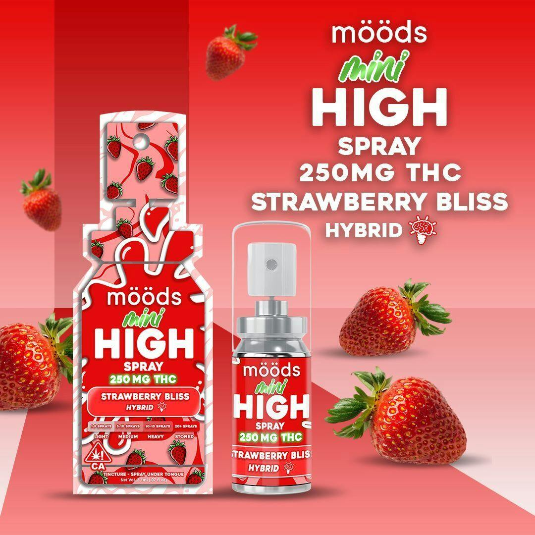 STRAWBERRY BLISS MINI (HYBRID)