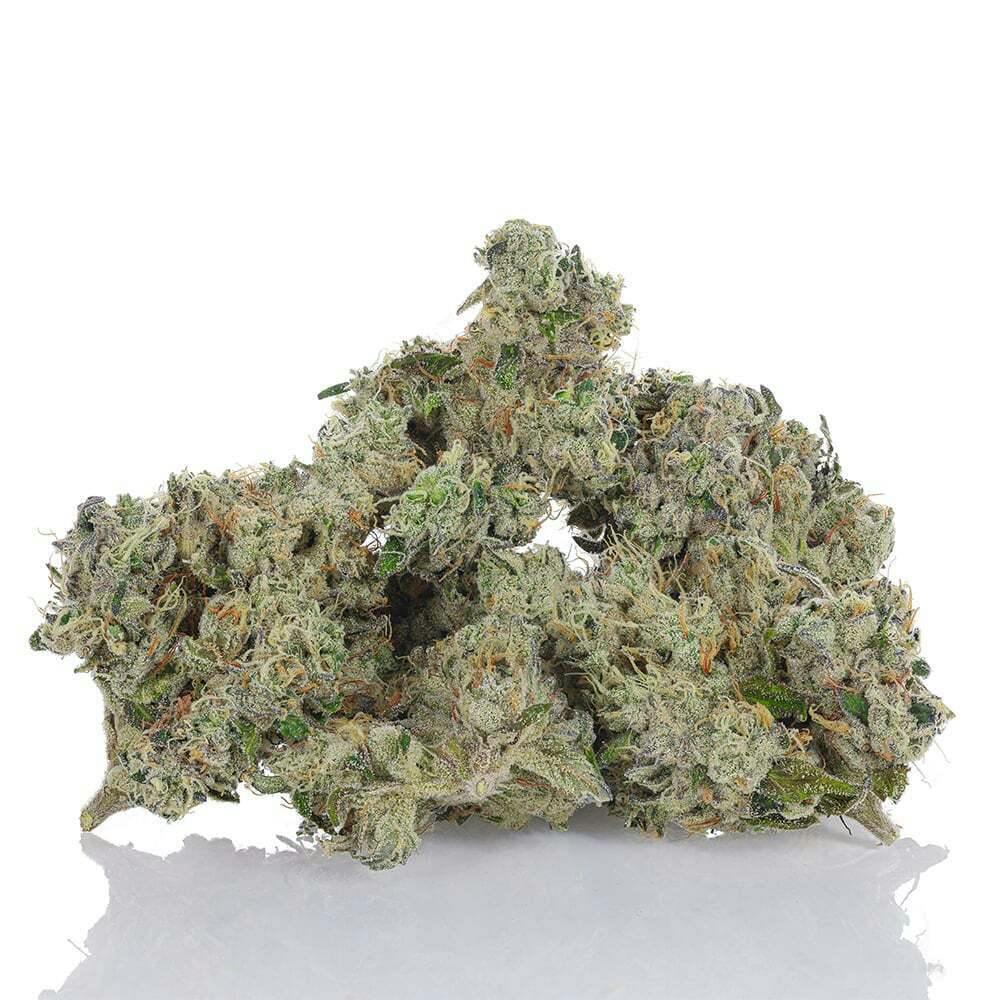 702 Headband