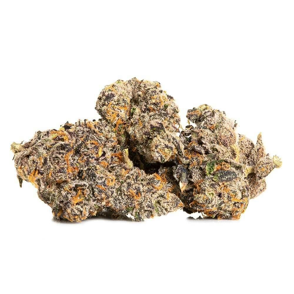 Medizin - Biscotti BX1