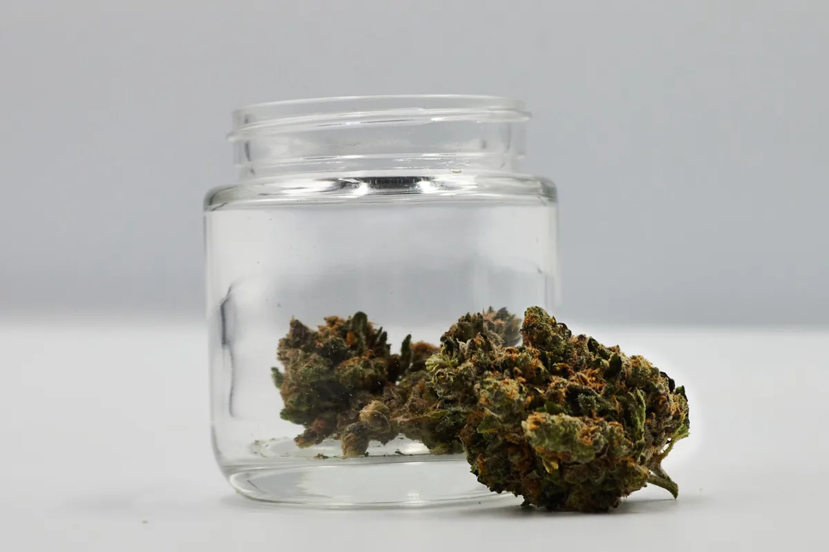 Pepperlane | Flower 3.5g - Candyman (S)