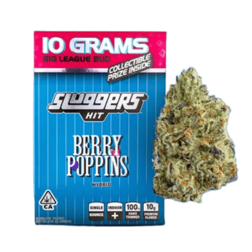 Berry Poppins 10G