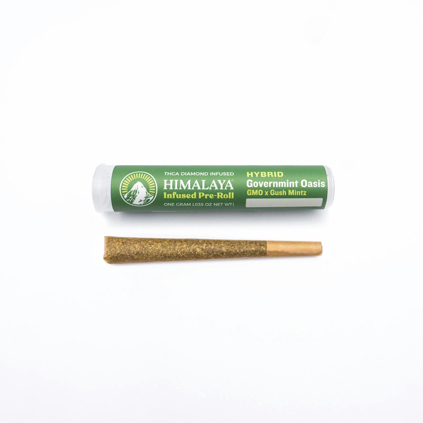 Governmint Oasis - Infused Pre-Roll - 1G