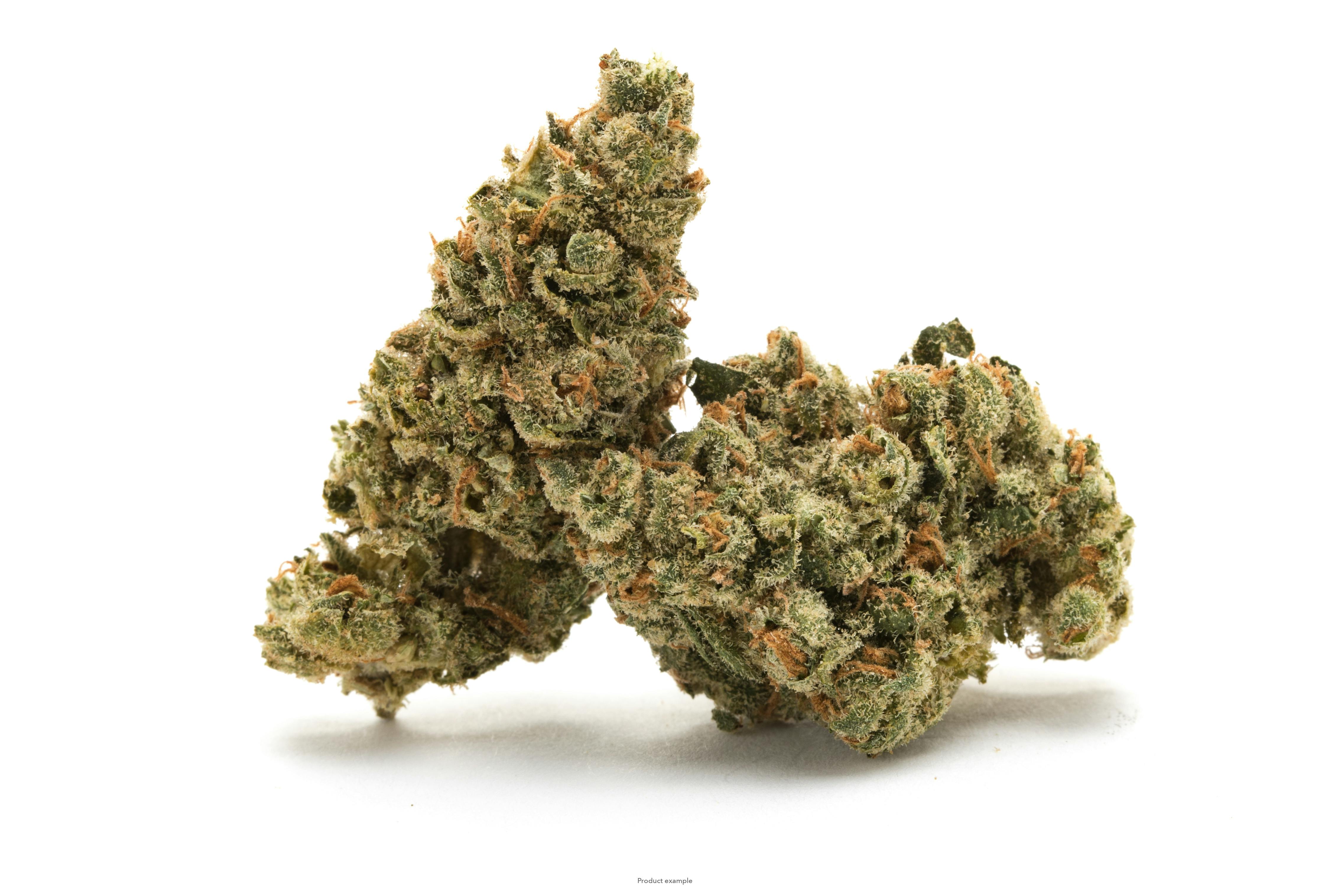 Lush | Beach Grapes 3.5g