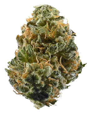 Stiiizy - Lemon Cherry Haze
