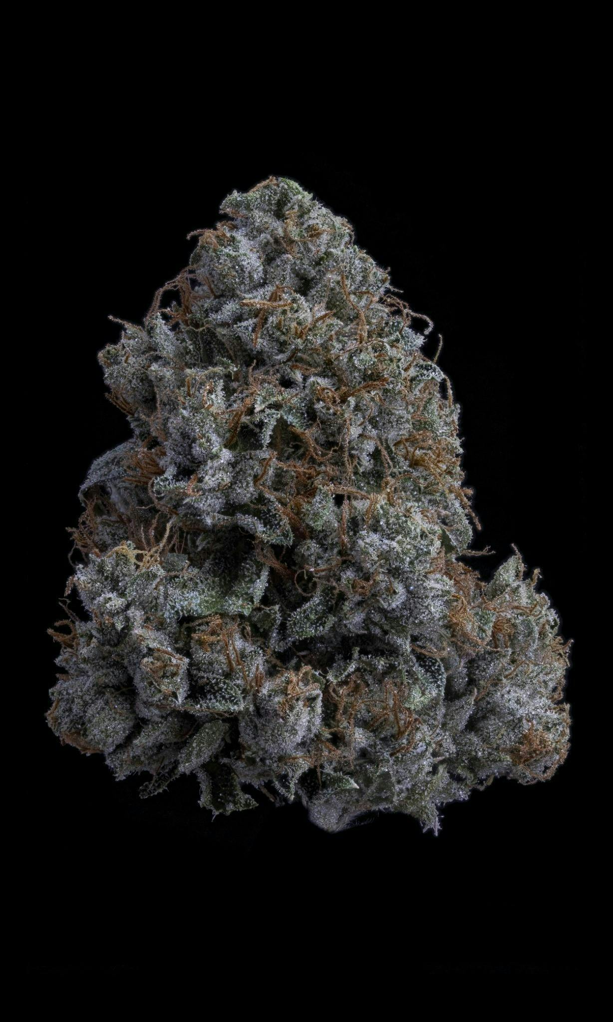 Sticky Status | K1 OG | Big Buds | 3.5g