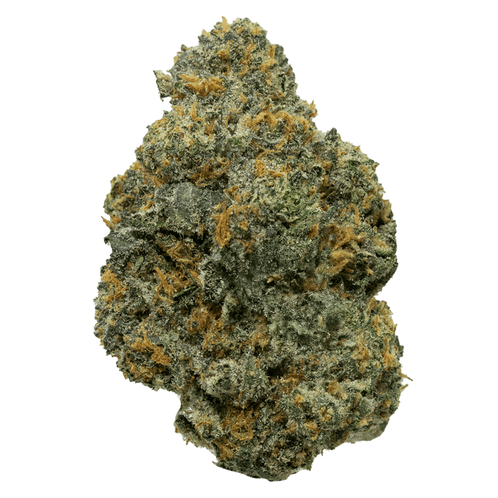 Delighted - Flower - Pink Sherb - 7g