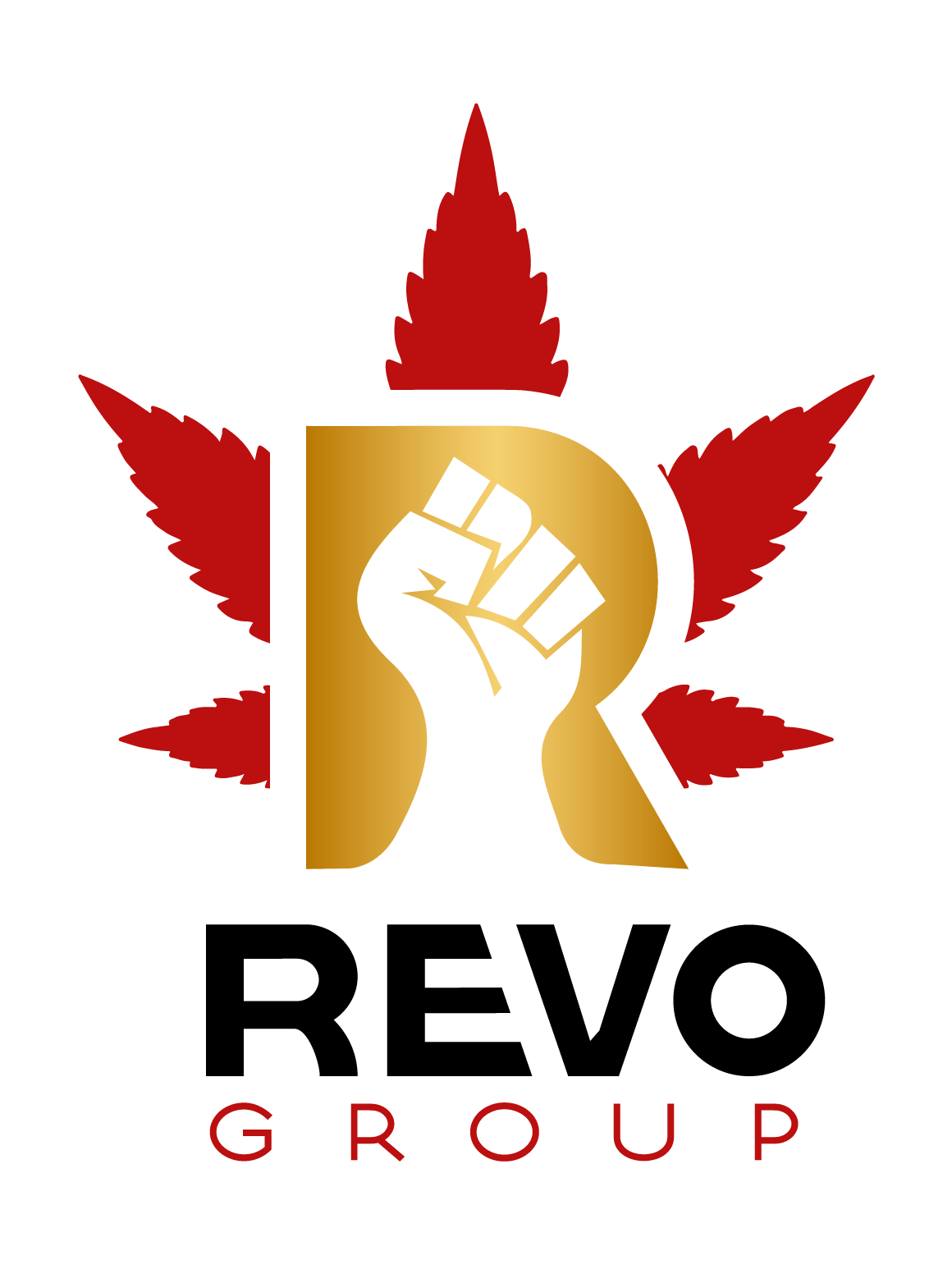 Revo Group - Revo OG Pressed Kief 1G - Pressed Kief
