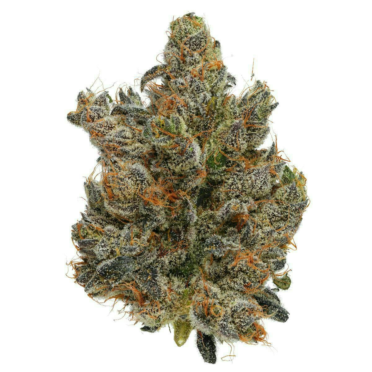 Fig Farms | Donut Shop | Big Buds