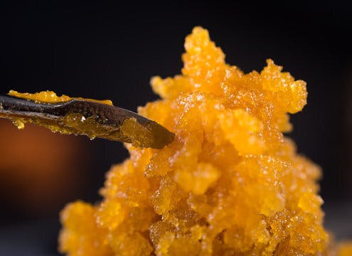 Bishop Boyz Georgia Pie 1g Sugar